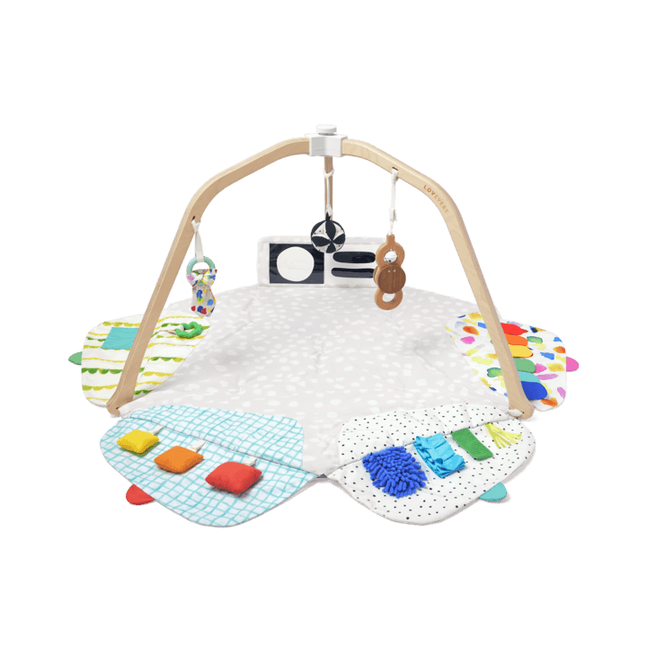 The Play Gym by Lovevery